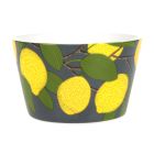 Koti Lemon small Bowl grey